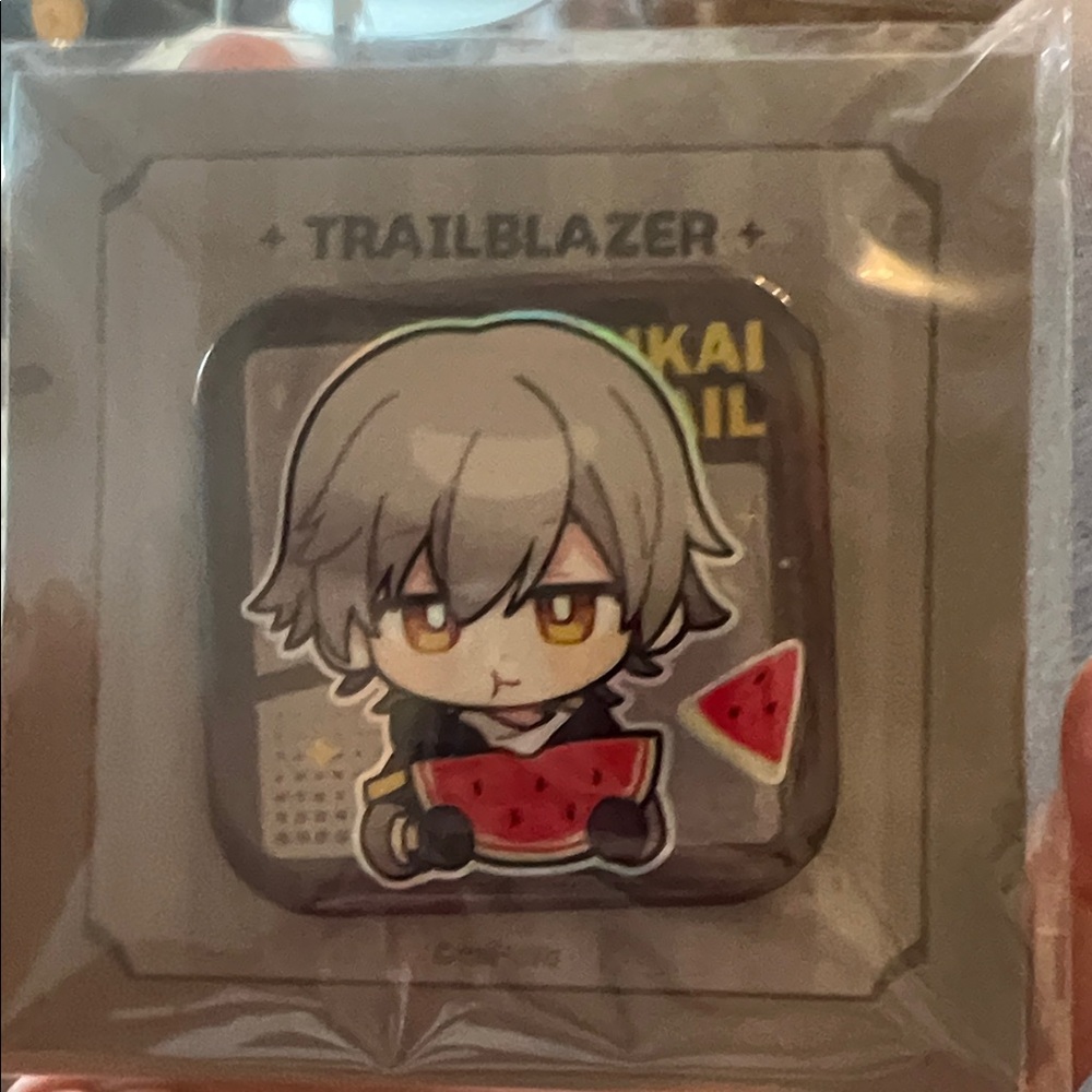 Honkai trailblazer pin